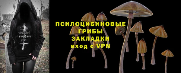 стафф Алексин