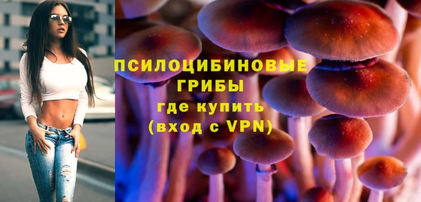 дмт Арсеньев